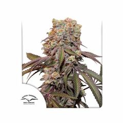 Auto Candy Bubatz XL, Фасовка: 3